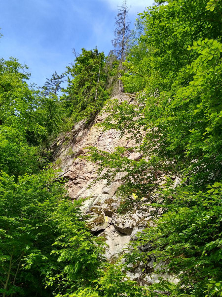 Purkarec 06