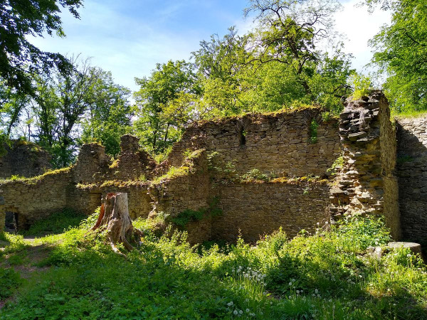 Purkarec 33
