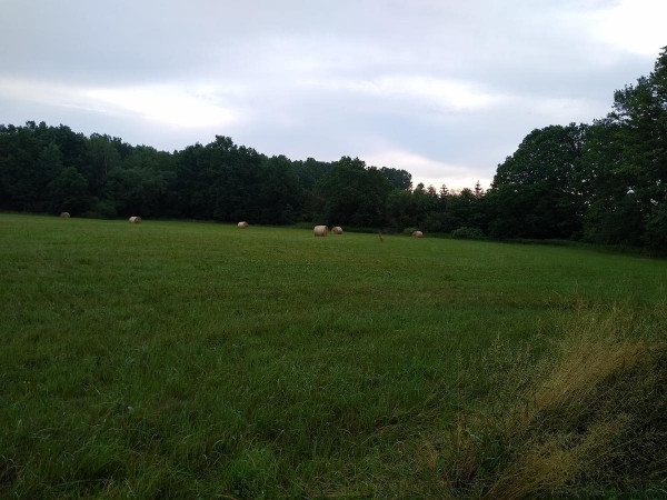 Holaovice 02