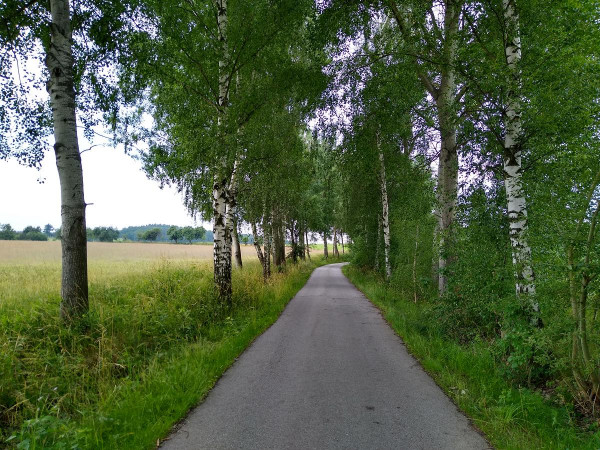 Holaovice 06