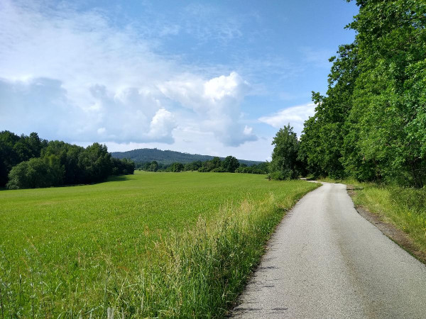 Holaovice 37