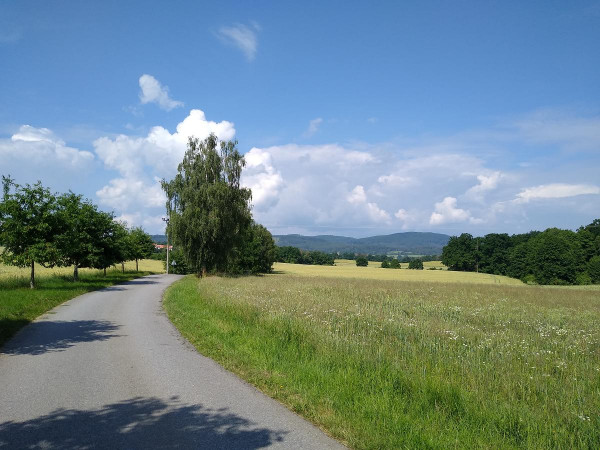 Holaovice 40