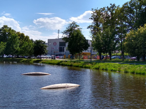 UVM 2020-11