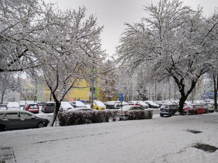 Vysoina 01