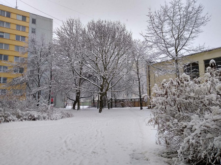 Vysoina 02