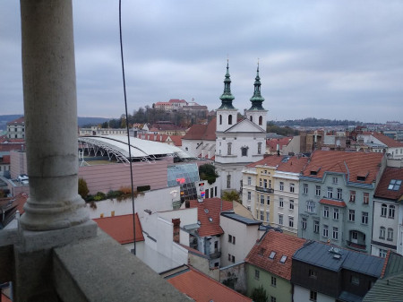 Brno 29