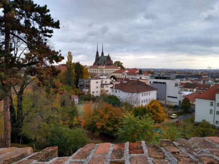 Brno 39