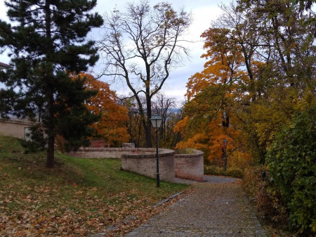 Brno 40