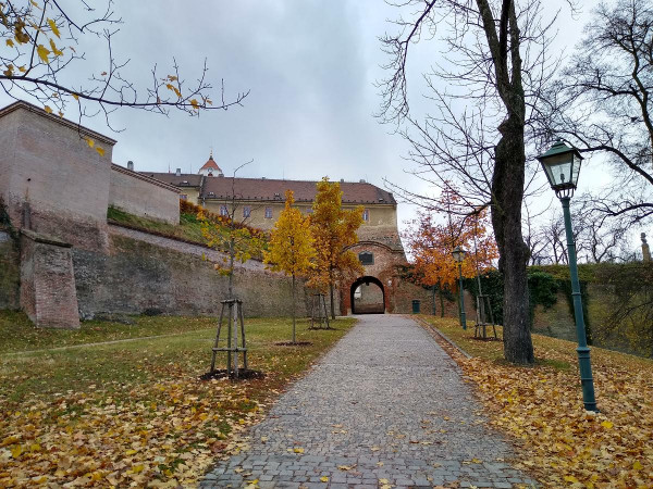 Brno 41