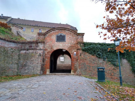 Brno 42