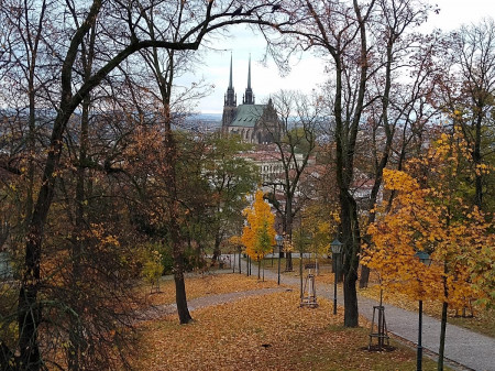 Brno 44