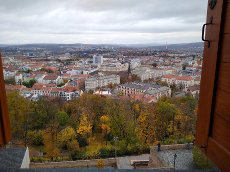 Brno 61