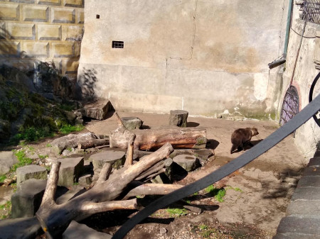 K Vclav 12