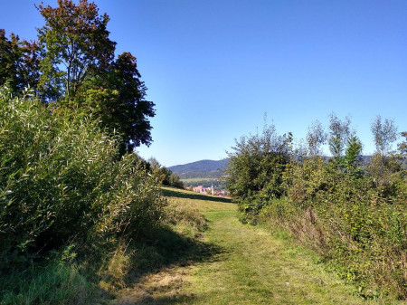 K Vclav 63