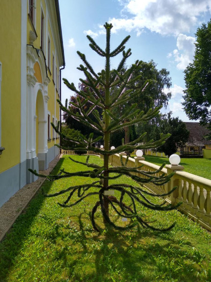 Barjohovi 2021-02