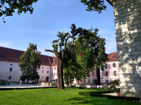 Vodrensk v 07