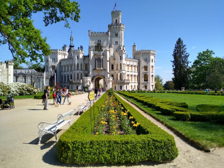 Vejce 2022-43