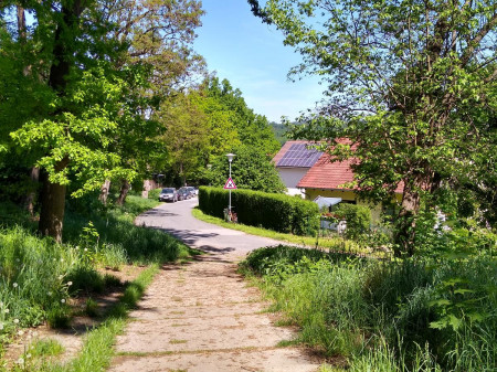 Vejce 2022-57
