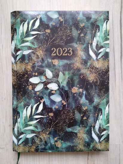 Rijen 2022-06
