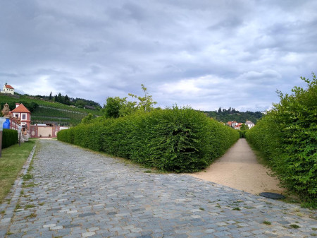 Troja 47