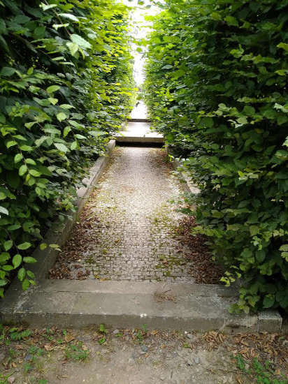 Troja 48