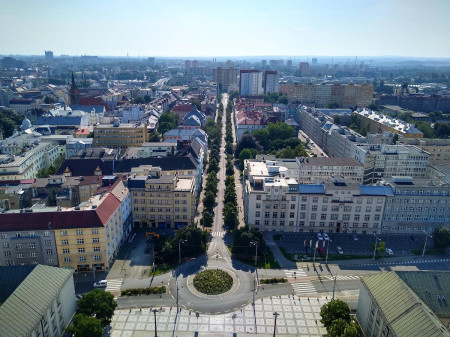 Tlapkovi 2020-19