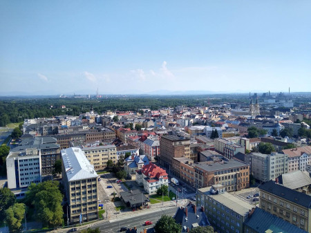 Tlapkovi 2020-20