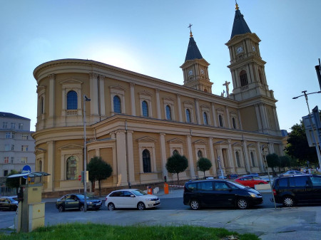 Tlapkovi 2020-31