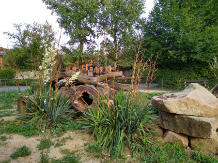 Safari 2020-08