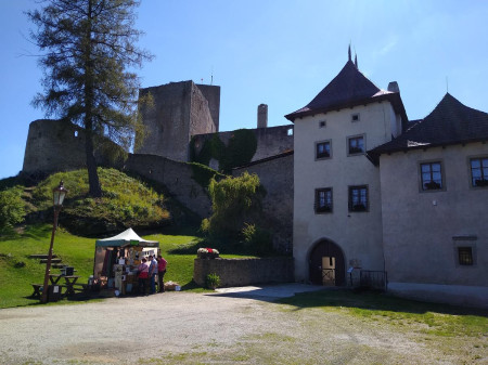 Landtejn 04