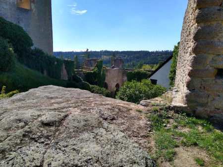 Landtejn 81