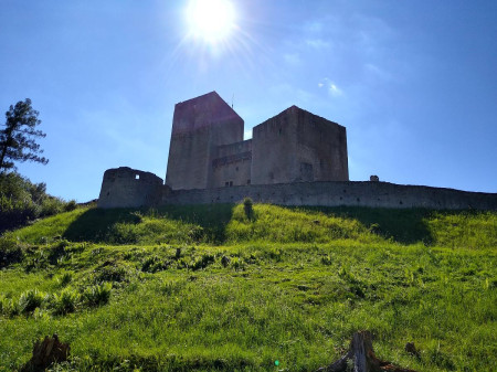 Landtejn 84