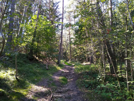 Landtejn 98