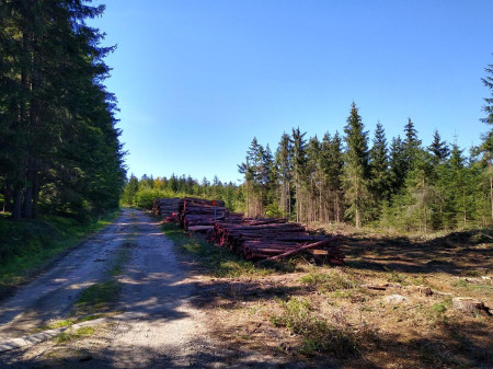Landtejn 100