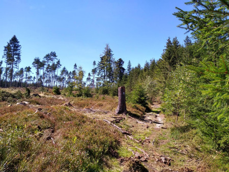 Landtejn 101