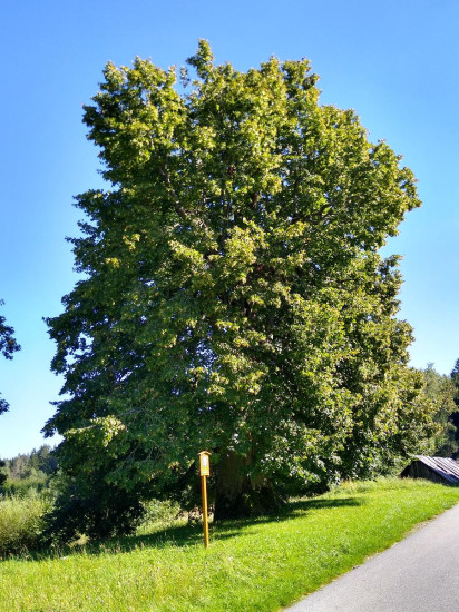 Landtejn 122
