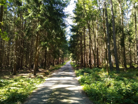 Helfenburk 10