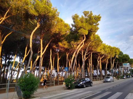 Italie 2021-122