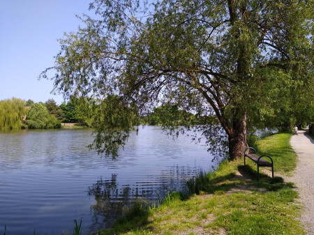 Telc 61
