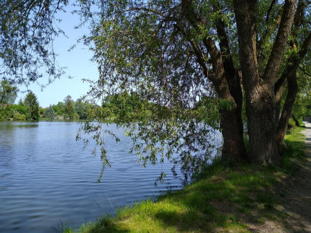 Telc 63