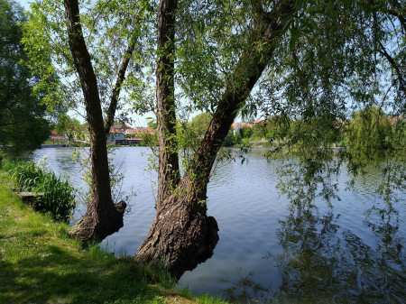 Telc 64