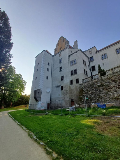 Telc 81