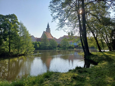 Telc 84