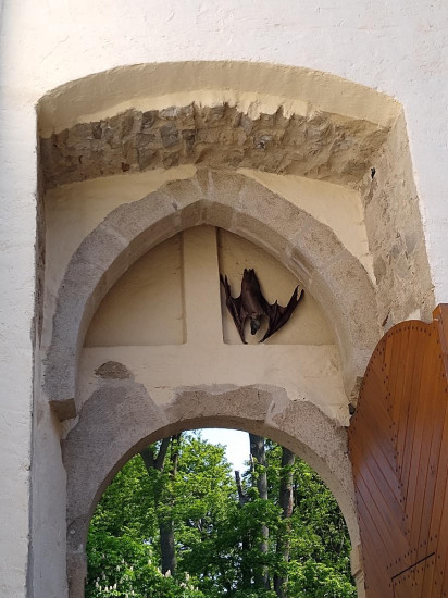 Rostej 05