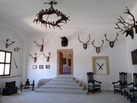 Rostejn 19