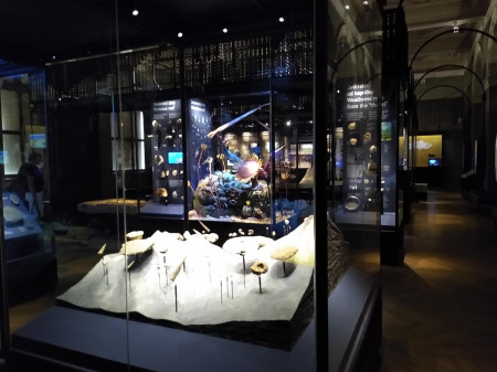 Nrodn muzeum 11