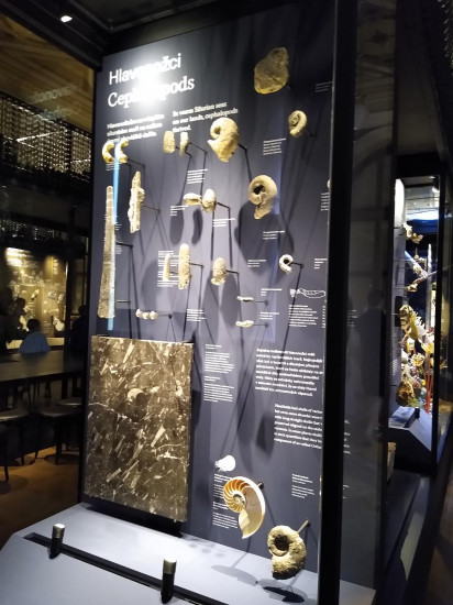 Nrodn muzeum 13