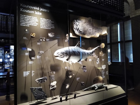 Nrodn muzeum 17