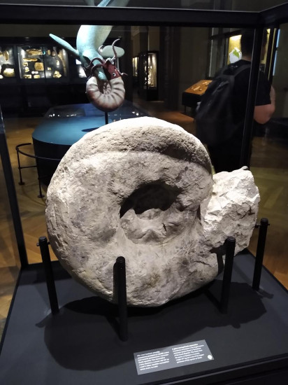 Nrodn muzeum 24