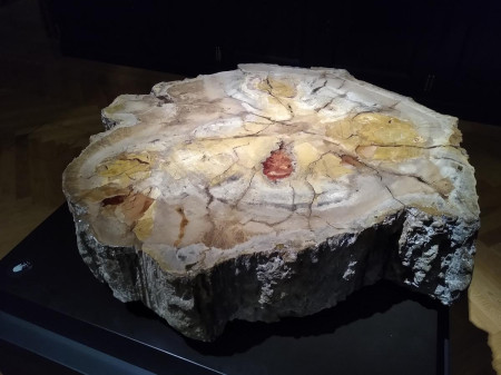 Nrodn muzeum 28